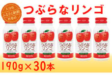 つぶらなリンゴ 30本 190g ／ つぶらな つぶらなリンゴ ジュース 清涼飲料水 人気 子供 おすすめ 果汁飲料 ご当地ジュース りんご りんごジュース 飲料 30本 詰めあわせ ギフト プレゼント セット 贈答 家庭用 JAフーズおおいた スピード発送 スピード 敬老の日 ＜131-105＞