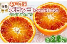 木戸農園のタロッコ（ブラッドオレンジ）約2.5kg（秀品） オレンジ みかん ミカン 柑橘類 フルーツ ＜113-004_5＞