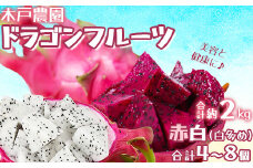木戸農園のドラゴンフルーツ 計約2kg（赤白 合計4~8個 白多め） 先行予約 果物 フルーツ ＜113-010_5＞