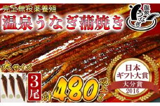 【配送日指定可能】温泉うなぎ蒲焼 3尾（160gサイズ） 国産うなぎ 人気 国産 蒲焼 蒲焼き かば焼き 鰻屋 個包装 冷凍 真空 ギフト 敬老の日 ＜104-012_5＞