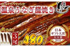【配送日指定可能】温泉うなぎ蒲焼 3尾（160gサイズ） 国産うなぎ 人気 国産 蒲焼 蒲焼き かば焼き 鰻屋 個包装 冷凍 真空 ギフト 敬老の日 ＜104-012_5＞