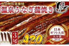 【配送日指定可能】温泉うなぎ蒲焼 3尾（140gサイズ） 国産うなぎ 人気 国産 蒲焼 蒲焼き かば焼き 鰻屋 個包装 冷凍 真空 ギフト 敬老の日 ＜104-008_5＞