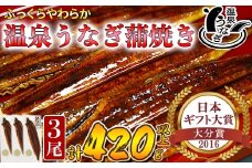【配送日指定可能】温泉うなぎ蒲焼 3尾（140gサイズ） 国産うなぎ 人気 国産 蒲焼 蒲焼き かば焼き 鰻屋 個包装 冷凍 真空 ギフト 敬老の日 ＜104-008_5＞