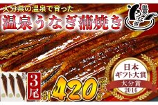 【配送日指定可能】温泉うなぎ蒲焼 3尾（140gサイズ） 国産うなぎ 人気 国産 蒲焼 蒲焼き かば焼き 鰻屋 個包装 冷凍 真空 ギフト 敬老の日 ＜104-008_5＞