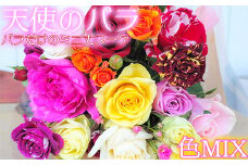【天使のバラ】薔薇だけのミニ丈ブーケ（色MIX） ＜141-001_6＞