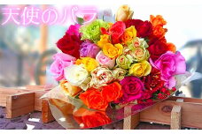 【天使のバラ】薔薇だけの花束（色MIX） ＜141-005_6＞