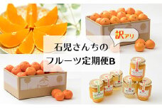 野菜ソムリエ石児さんの訳ありフルーツ定期便B（1月・2月・3月・4月） ミカン みかん 蜜柑 柑橘類 定期便 訳あり 先行予約 せとか アンコール 1月 2月 3月 4月 フルーツ ＜103-802＞