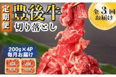 [1月発送開始]＜定期便・全3回(連続)＞豊後牛切り落とし定期便（200g×4p×3回）＜123-802_5＞