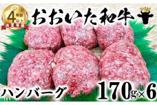 おおいた和牛 ハンバーグ（170g×6）【ニード牧場】 お楽しみ 黒毛和牛 豊後牛 牛肉 お肉 人気 冷凍 国産 敬老の日 ＜129-002_5＞