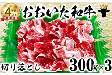 おおいた和牛 切り落とし（300g×3）【ニード牧場】 お楽しみ 黒毛和牛 豊後牛 牛肉 お肉 人気 国産 敬老の日 ＜129-001_5＞