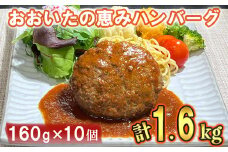 おおいたの恵みハンバーグ1.6kg[160g×10個]( 大分の恵み ハンバーグ レンジでチンするだけ ) ハンバーグ 国産 人気 牛肉 冷凍 豚肉 牛 敬老の日 ＜130-001_5＞