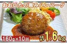 おおいたの恵みハンバーグ1.6kg[160g×10個]( 大分の恵み ハンバーグ レンジでチンするだけ ) ハンバーグ 国産 人気 牛肉 冷凍 豚肉 牛 ＜130-001_5＞
