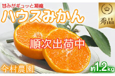 今村農園のハウスみかん 約1.2kg【秀品】 みかん 柑橘 1.2kg 秀品 先行予約 7月 8月 フルーツ ＜107-006_7＞