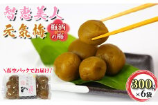 智恵美人 元気梅 （梅酒の梅） 300g×6袋セット【中野酒造】 梅酒  小分け ギフト 贈答 敬老の日 ＜110-024_6＞