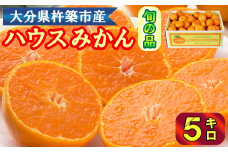 ハウスみかん約5kg（バラ詰め） みかん 温州 温州みかん 温州ミカン 5kg 甘い 秀品 柑橘類 糖度 6月 7月 8月 ハウスみかん フルーツ 先行予約 九州 大分 杵築 ＜132-012＞