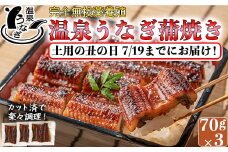 【 まだ間に合う 土用の丑 7/19(土)までにお届け 】 完全無投薬養殖 国産 温泉うなぎ蒲焼 (カット) 70g×3 丑の日 土用の丑の日 ＜104-058_5＞