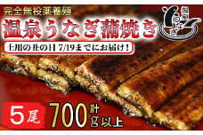 【 まだ間に合う 土用の丑 7/19(土)までにお届け 】 完全無投薬養殖 国産 温泉うなぎ蒲焼 5尾 （140gサイズ） 丑の日 土用の丑の日 ＜104-062_5＞