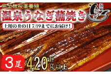 【 まだ間に合う 土用の丑 7/19(土)までにお届け 】 完全無投薬養殖 国産 温泉うなぎ蒲焼 3尾 （140gサイズ） 丑の日 土用の丑の日 ＜104-061_5＞