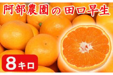 【訳あり品】阿部農園の「田口早生 約8kg」 ／ ミカン みかん 蜜柑 柑橘類 糖度 訳あり 11月 先行予約 年内配送 甘い 温州みかん 早生 年内発送 フルーツ ＜112-001＞