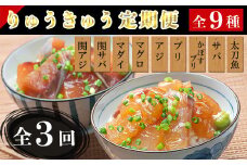 [10月発送開始]＜定期便・全3回＞大分郷土料理りゅうきゅう全9種を3回に分けてお届け！(3種×2食×3回) 刺身 冷凍 セット 海鮮 漬け 産地直送 大分県 真空パック 小分け 惣菜 人気 海鮮丼 漬け丼 定期便 関アジ 関さば 鯛 マグロ アジ ぶり かぼすぶり さば 太刀魚 ＜101-830_5＞