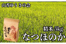 【 令和7年産 新米 先行予約 】山香ゆうきの会の米 5kg（精米：なつほのか） 新米 5kg 米 先行予約 先行受付 ＜002-010＞