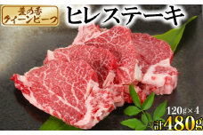 豊の香 クイーンビーフ ヒレステーキ 480g （120g×4枚） 国産 黒毛和牛 経産牛 お楽しみ 牛肉 お肉 人気 ＜150-001_5＞