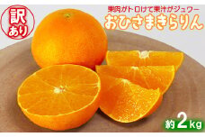 【訳あり・優品】今村農園の「おひさまきらりん 約2kg」 甘い オレンジ みかん ミカン 清美 12月発送 1月発送 先行予約 2kg わけあり 柑橘類 フルーツ ＜107-018_7＞