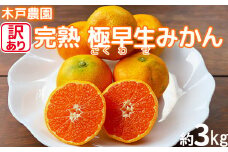 【訳あり品】完熟極早生みかん！木戸農園の「おおいた早生 約3kg」 ミカン みかん 柑橘 3kg 先行予約 10月 11月 フルーツ 温州 ＜113-013＞
