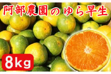 【訳あり品】阿部農園の「ゆら早生 約8kg」 ／ ミカン みかん 蜜柑 柑橘類 訳あり 10月 温州みかん 早生 人気 極早生 数量限定 フルーツ ＜112-020＞