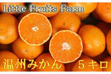 【訳あり品】リトルフルーツファームの温州みかん 約5kg ／ ミカン みかん 蜜柑 柑橘類 訳あり 先行予約 5kg 温州みかん フルーツ 果物 ＜116-022＞