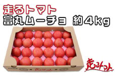 「走るトマト」の大玉トマト富丸ムーチョ 約4kg トマト 4kg ＜140-001_5＞
