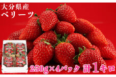 [1月発送]大分県産 ベリーツ 約1kg（約250g×4パック）／ いちご イチゴ 1kg 先行予約 1月 甘い フルーツ 苺 スイーツ ＜133-101_5＞