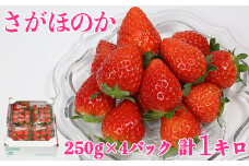 [1月発送]さがほのか 約1kg（約250g×4パック）／ いちご イチゴ 1kg 先行予約 1月 フルーツ 苺 ＜133-301_5＞