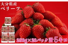 [1月発送]大分県産 ベリーツ 約5kg（約250g×20パック）／ いちご イチゴ 5kg 先行予約 1月 甘い フルーツ 苺 スイーツ ＜133-201_5＞