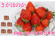 [1月発送]さがほのか 約5kg（約250g×20パック）／ いちご イチゴ 5kg 先行予約 1月 フルーツ 苺 ＜133-401_5＞