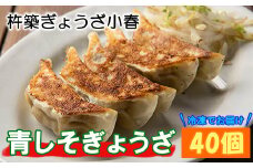 杵築ぎょうざ小春の青しそぎょうざ 40個 冷凍 餃子 人気 国産 ぎょうざ ギョーザ ＜152-002_5＞