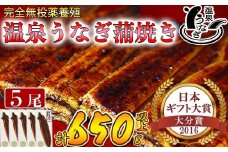 【配送日指定可能】温泉うなぎ蒲焼 5尾（130gサイズ） 国産うなぎ 人気 国産 蒲焼 蒲焼き かば焼き 鰻屋 個包装 冷凍 真空 ギフト 敬老の日 ＜104-006_5＞