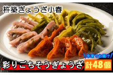 杵築ぎょうざ小春の彩りごちそうぎょうざ4種食べ比べセット（各12個 計48個）冷凍 餃子 人気 国産 ぎょうざ ギョーザ ＜152-003_5＞
