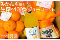 今村農園のみかん4種（計約8kg）とおひさまきらりん 生搾り100%ジュースセット 先行予約 2026年 2月発送 柑橘類 みかん ミカン フルーツ 食べ比べ ストレート ＜107-041_5＞
