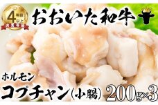 おおいた和牛ホルモン（コプチャン 200g×3）【ニード牧場】 国産 焼肉用 敬老の日 ＜129-018_6＞