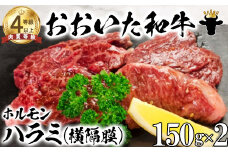 おおいた和牛ホルモン（ハラミ 150g×2）【ニード牧場】 国産 焼肉用 敬老の日 ＜129-022_6＞