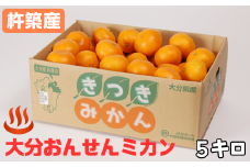 大分おんせんミカン 5kg（秀品）＜132-017_6＞