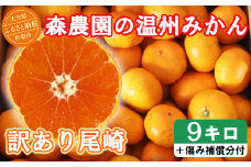 【1月発送】【訳あり品】森農園の温州みかん 尾崎 9kg＋傷み補償分200g ／ ミカン みかん 蜜柑 柑橘 9kg 柑橘類 訳あり フルーツ 1月 温州みかん ＜162-001_6＞