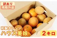 【訳あり・規格外品】ハウス美娘 約2kg（バラ詰め・M玉以下） ／ ミカン みかん 蜜柑 柑橘類 訳あり 美娘 オレンジ 2kg 12月 1月 甘い フルーツ ＜132-018_6＞