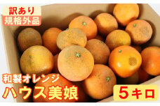 【訳あり・規格外品】ハウス美娘 約5kg（バラ詰め・M玉以下） ／ ミカン みかん 蜜柑 柑橘類 訳あり 美娘 オレンジ 5kg 12月 1月 甘い フルーツ ＜132-019_6＞