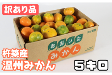 【訳あり品】杵築産 温州みかん 5kg ／ ミカン みかん 蜜柑 柑橘類 訳あり 5kg 12月 1月 温州みかん フルーツ ＜132-016_6＞