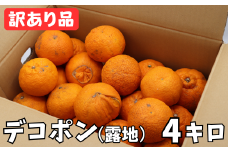 【訳あり・規格外品】宮川農園のデコポン約4kg（露地） ／ ミカン みかん 蜜柑 柑橘類 訳あり デコポン 不知火 先行予約 4月 甘い フルーツ ＜144-007_6＞
