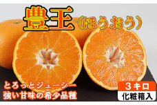 豊王（ほうおう）約3kg  化粧箱入 ／ ミカン みかん 蜜柑 柑橘類 豊王 ほうおう オレンジ 3kg 1月 甘い フルーツ ＜132-020_6＞