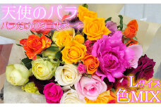 【天使のバラ】薔薇だけのミニ丈ブーケLサイズ（色MIX） ＜141-017_6＞
