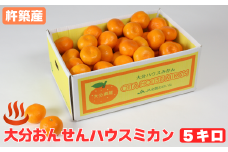 大分おんせんハウスミカン 約5kg（バラ詰め）＜132-023＞